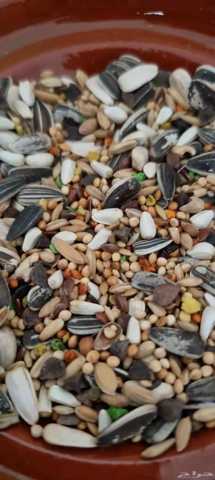 أكل روز فيشر كروان كوكتيل مع فيتامينات 0