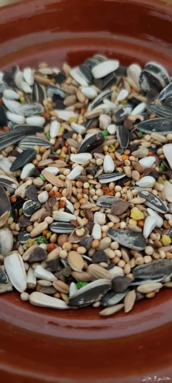 أكل روز فيشر كروان كوكتيل مع فيتامينات 1