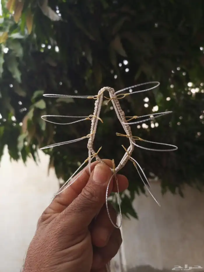 شبك لطرح الصقور 3