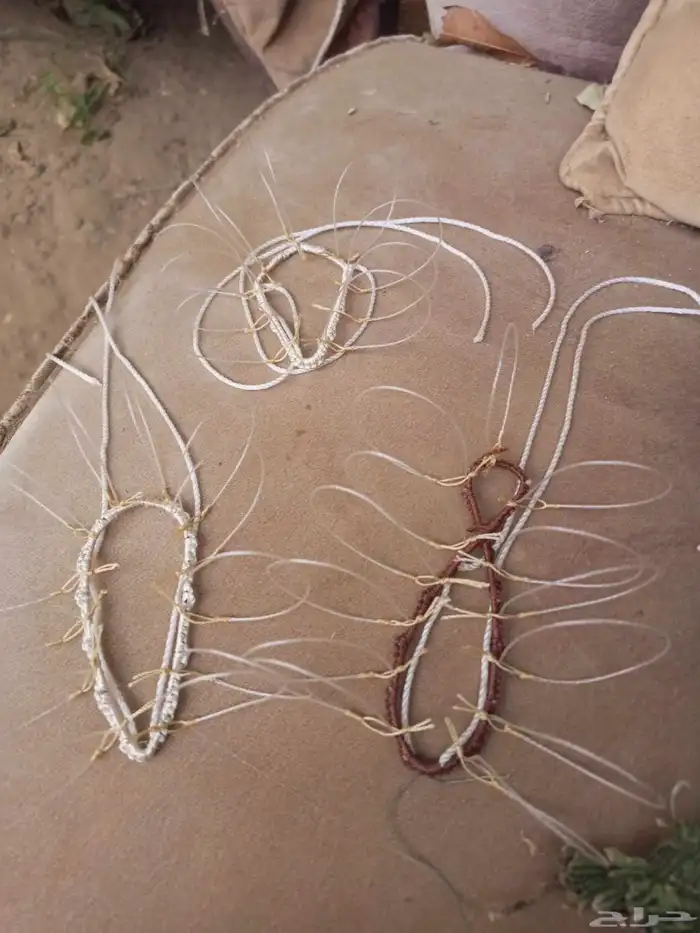 شبك لطرح الصقور 4