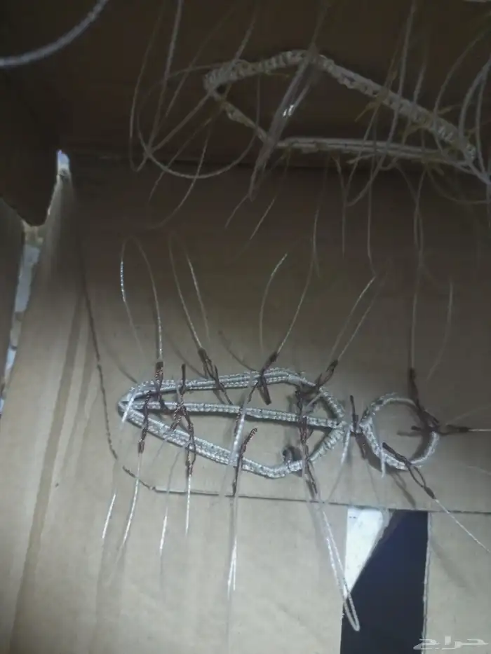 شبك لطرح الصقور 1