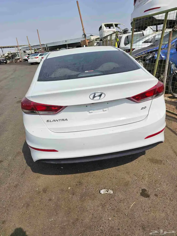 تشاليح الحمدانية جده 6