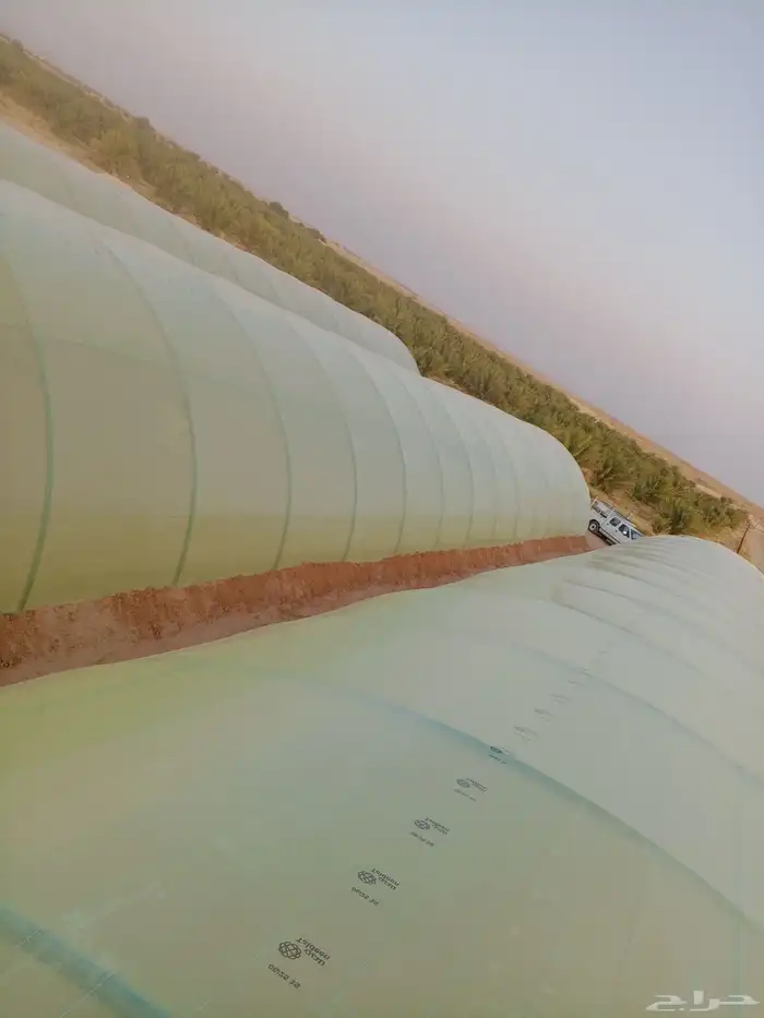 معلم ف  وتر يب بيوت محمي 2