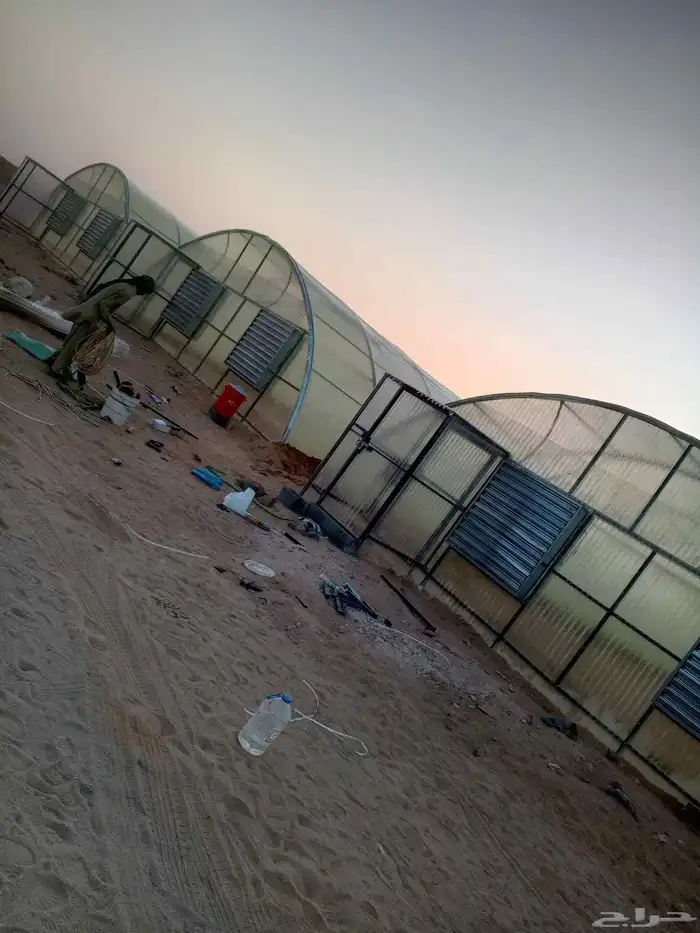 معلم ف  وتر يب بيوت محمي 0