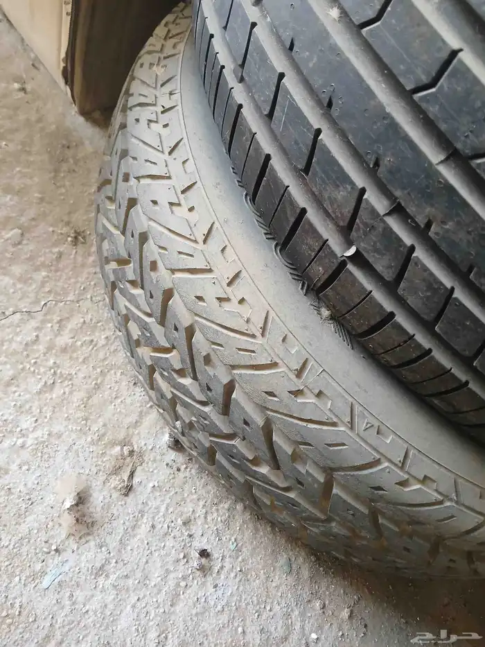 جنوط كرسيدا مجوفه( تبريزه) 2