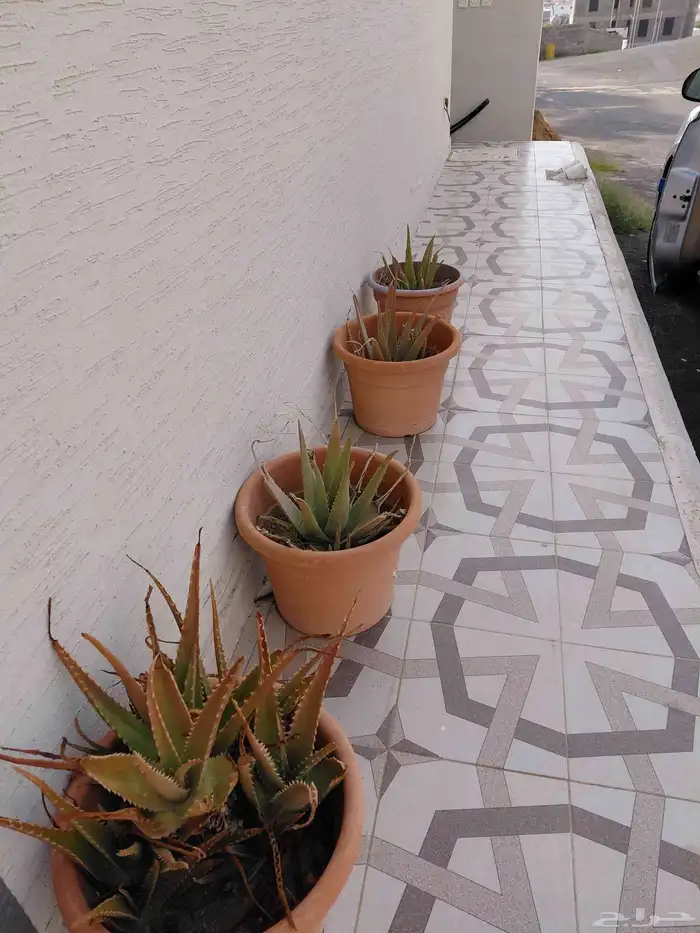 سير للبيع شغال وصبار العدد المطلوب 5