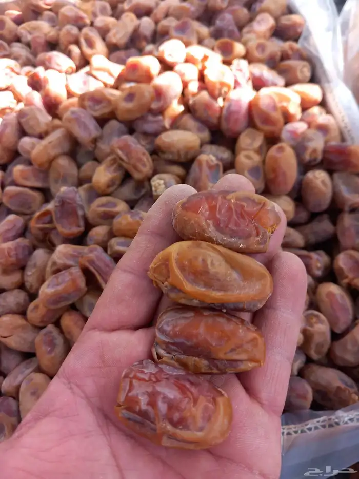 تمور اخلاص للبيع 0