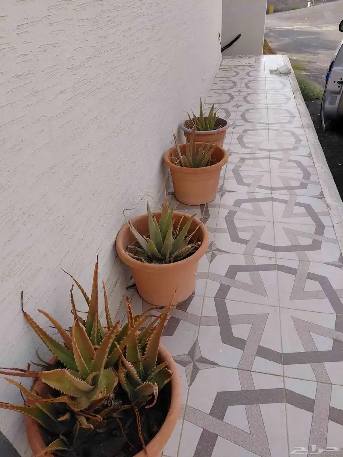 سير للبيع شغال وصبار العدد المطلوب 4