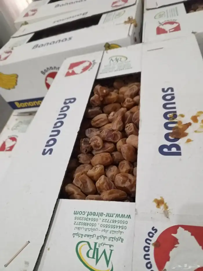 يوجد تمر اخلاص 560 كرتون 0