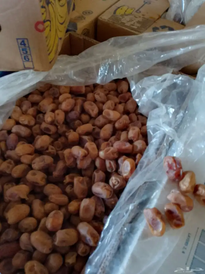 عندنا تمر خلاص للبيع 2