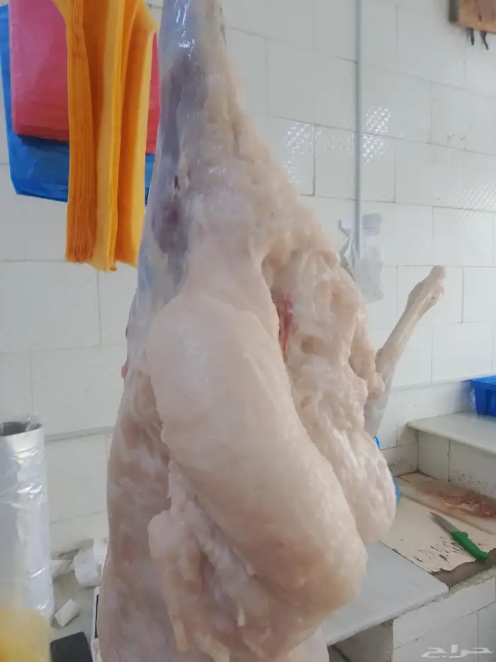 عروض ملحمة عنب 2 العريسه 1
