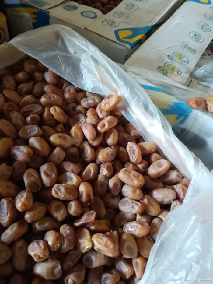 عندنا تمر خلاص للبيع 0