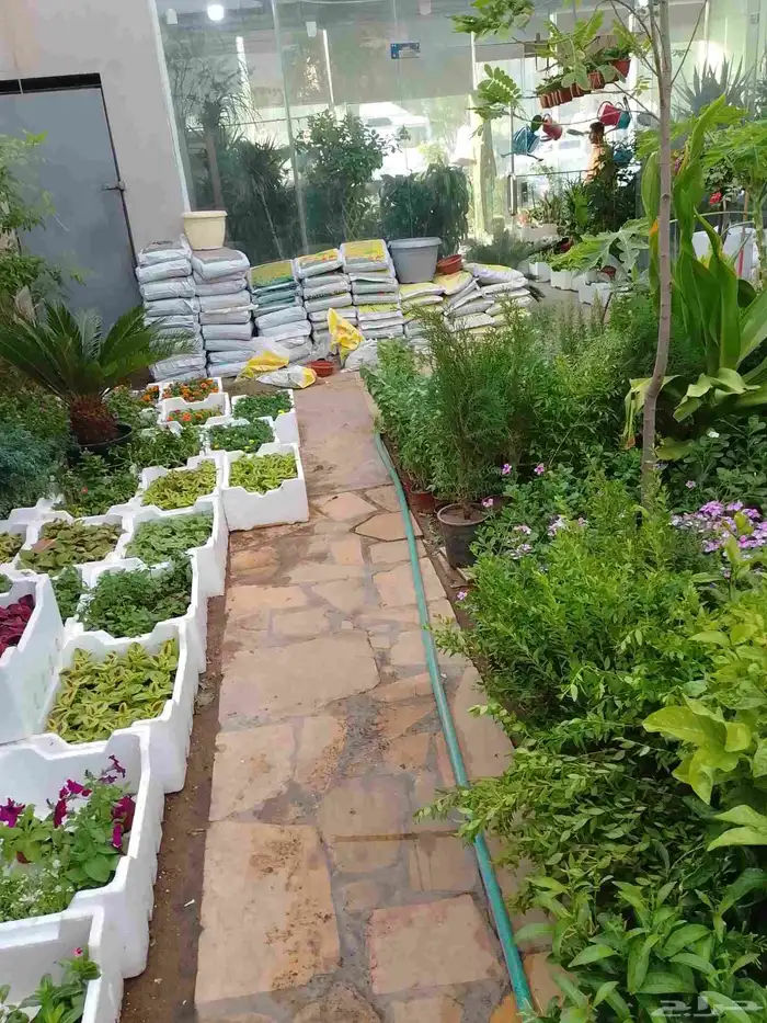 زراعه وحدائق 5