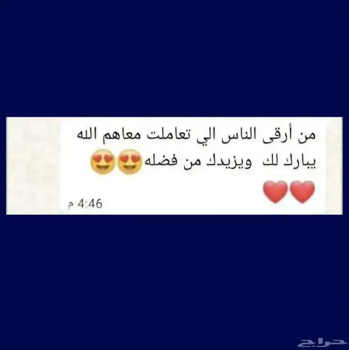 فندقه القطط الرياض 1