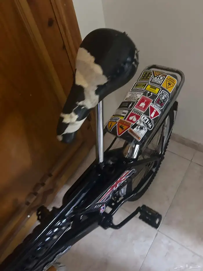 راميو اندنوسي اصلي 3