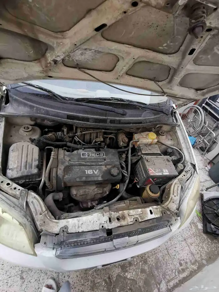 للبيع لأصحاب التشاليح فقط.. 2