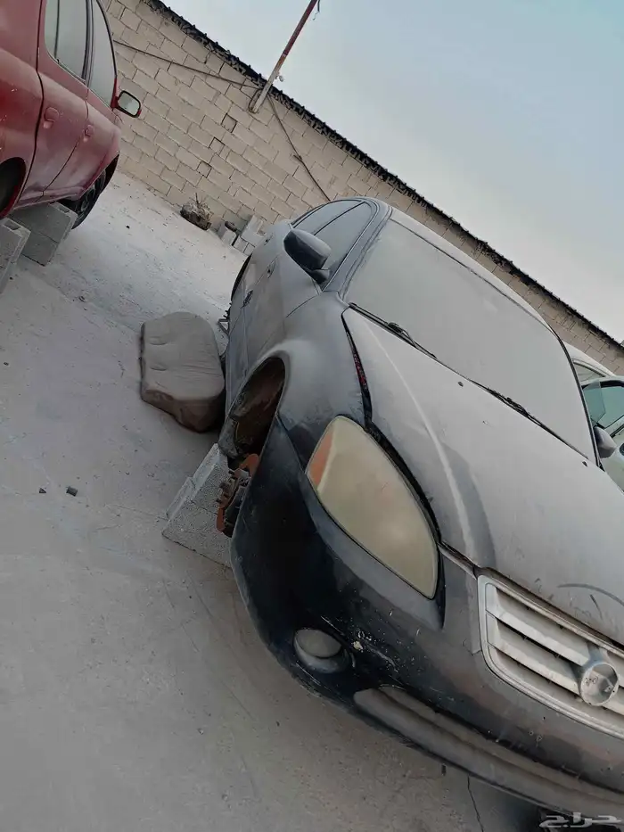 نيسان التيما 1