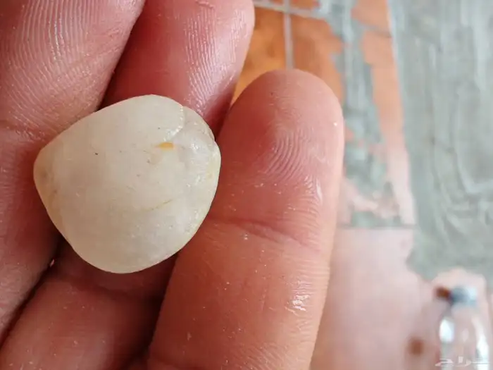 نبغى نعرف ايش نوعيه الحجران 0