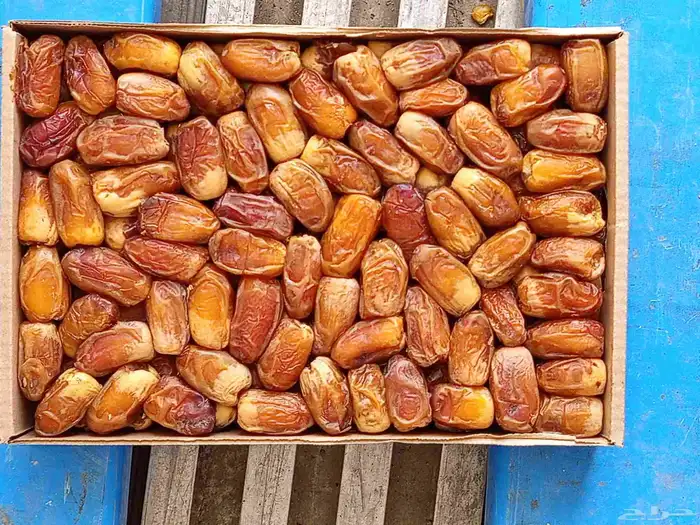 صقعي. مجدول 2