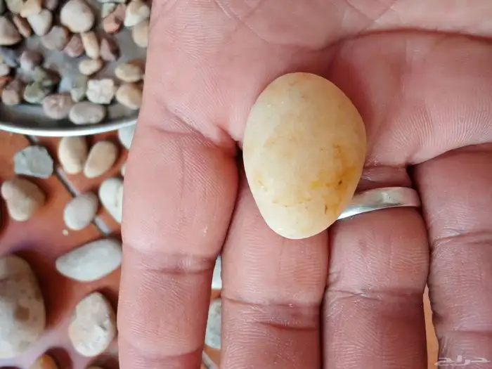 نبغى نعرف ايش نوعيه الحجران 7