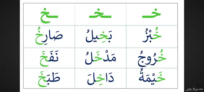 معلم تأسيس وقرآن ونور البيان وتجويد للأطفال وكبار السن 4