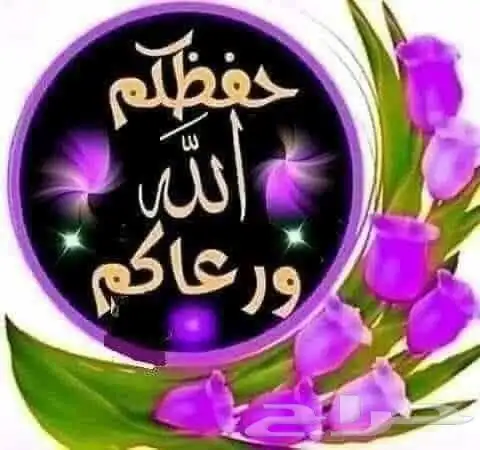 تدريس 0