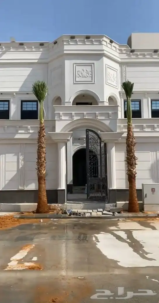 نخل واشنطونيا زينة 2