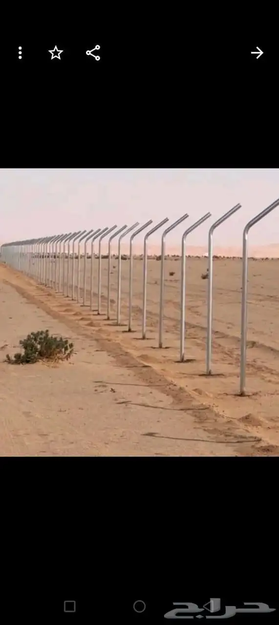 توريد جميع أنواع النخيل وتركيب الشبوك 8