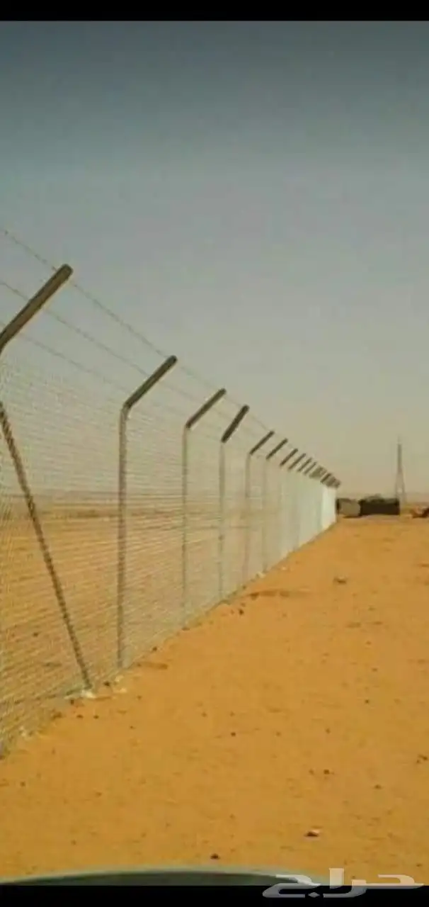 توريد جميع أنواع النخيل وتركيب الشبوك 3