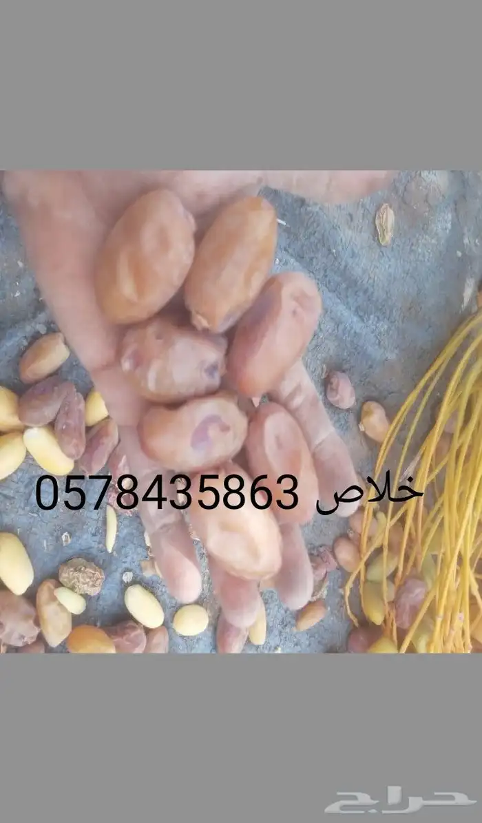 خلاص فاخر 0