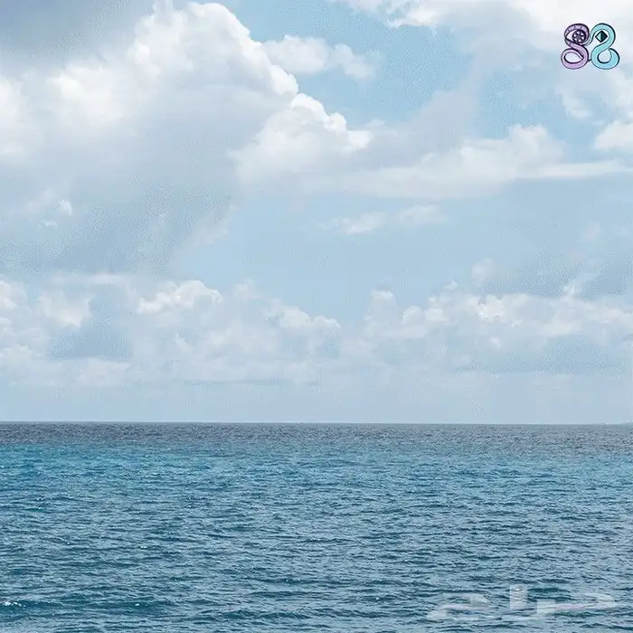 تحويل أي صورة ثابتة إلى متحركة (GIF) 0