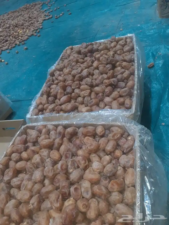 خلاص اشيقر 2