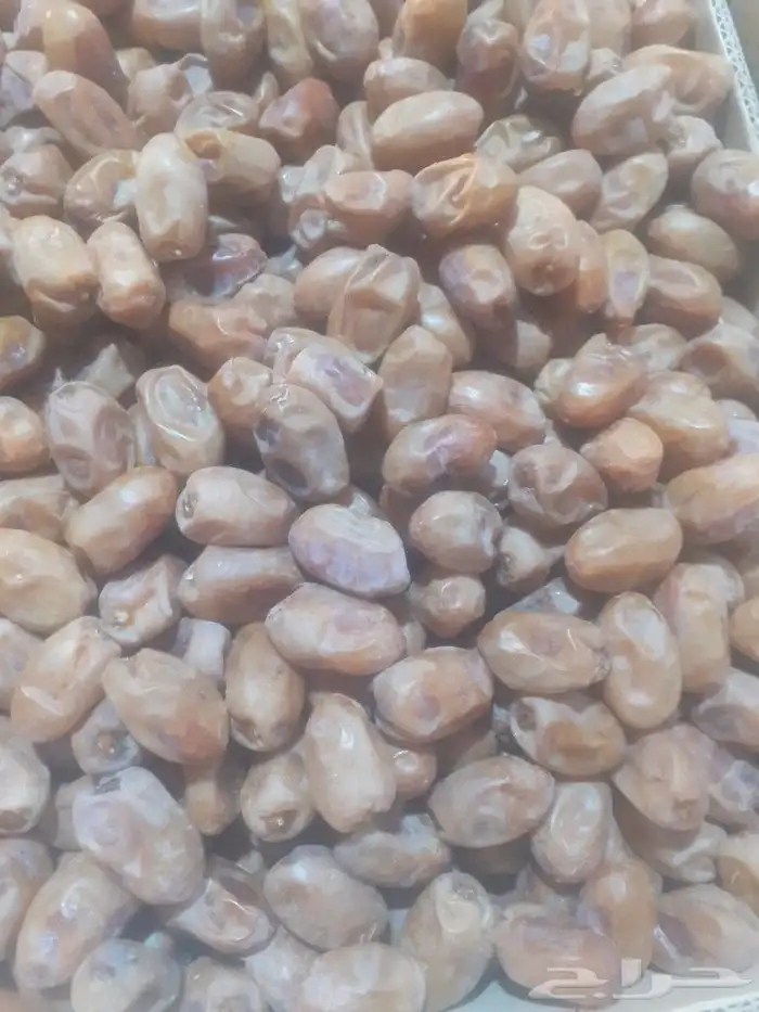 خلاص اشيقر 7