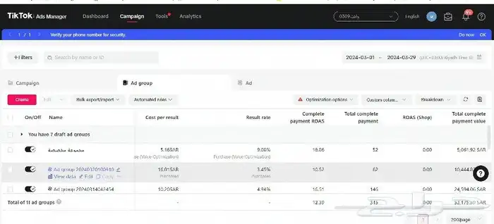 مسوقة إلكترونية متخصصة فى إنشاء وإدارة الحملات الإعلانية 2