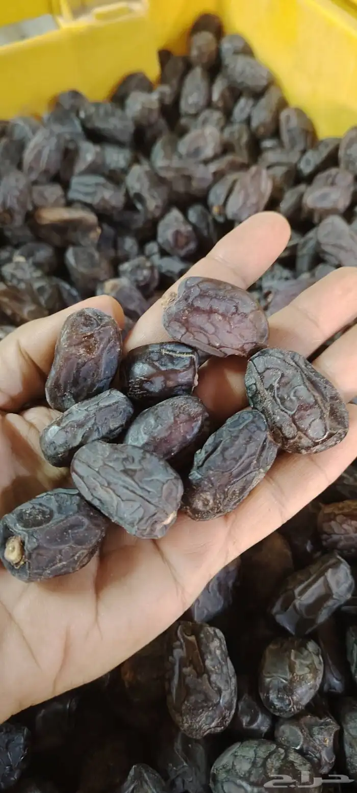تمر قط َار أو قطارة 4