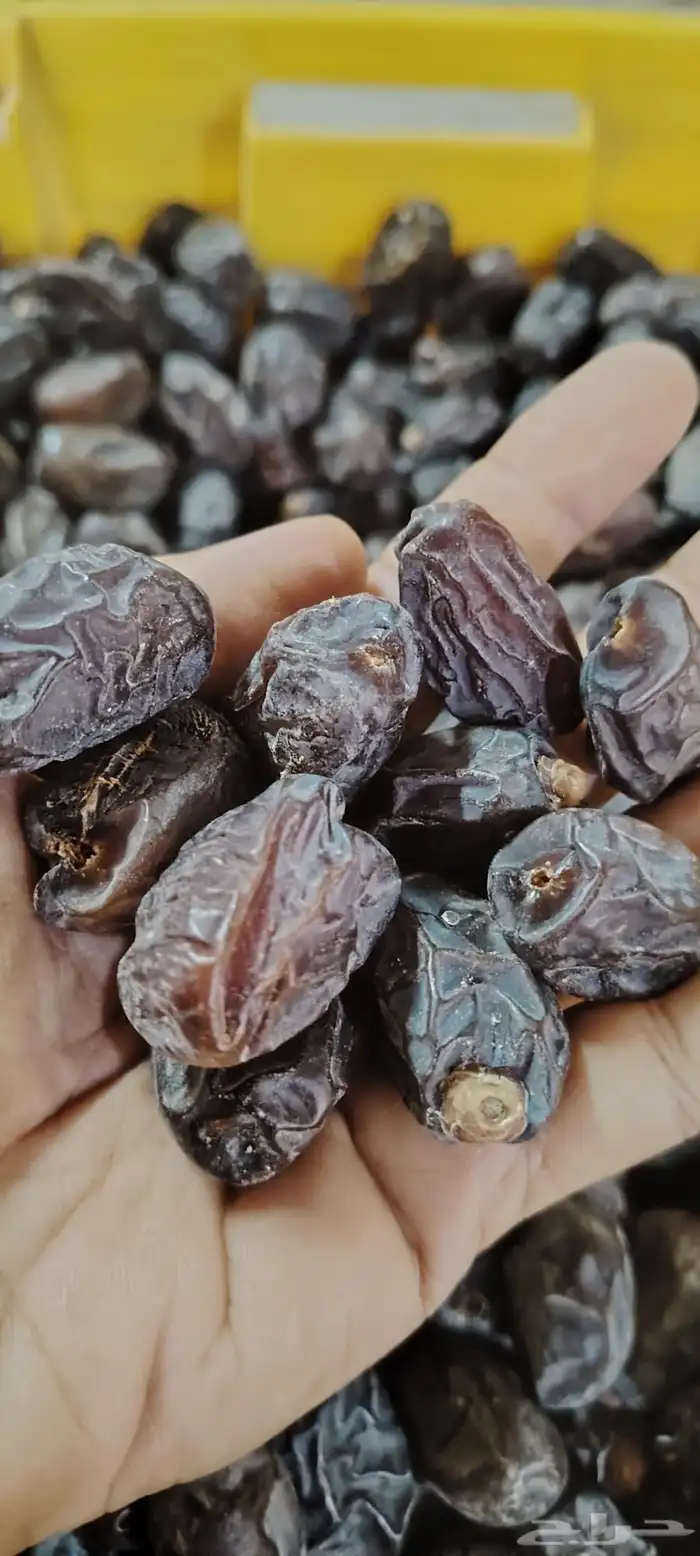 تمر قط َار أو قطارة 0