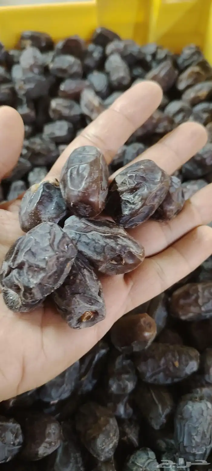 تمر قط َار أو قطارة 3