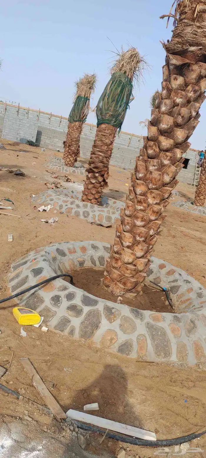 مقاول حجر وردميات وتربه زراعيه وجميع المواد 1