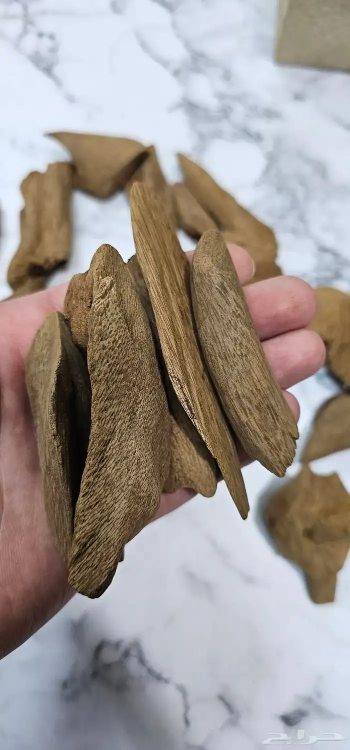 عود مروكي كسر مباخر 3