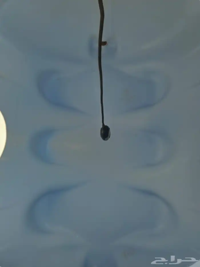 نظافه منازل وخزانات الدرب 6