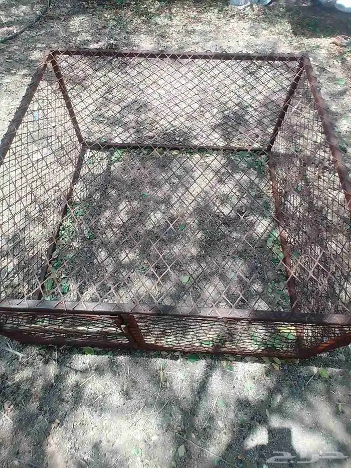 شبك شرط مفيه شي ويوجد أرنب ودجاج الي يبقا يتوصل وتساب 2