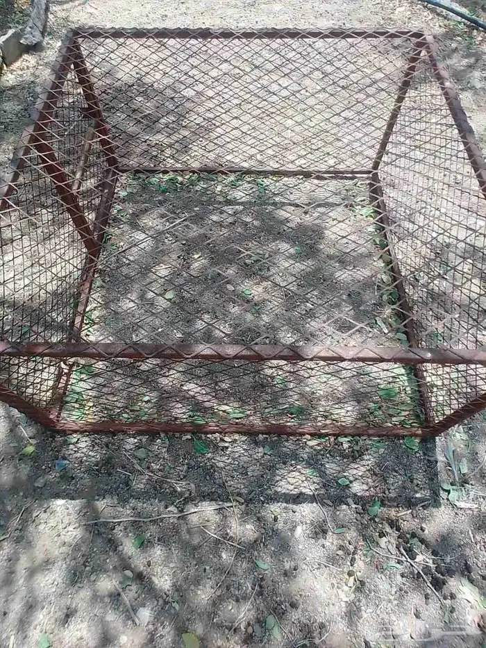 شبك شرط مفيه شي ويوجد أرنب ودجاج الي يبقا يتوصل وتساب 0