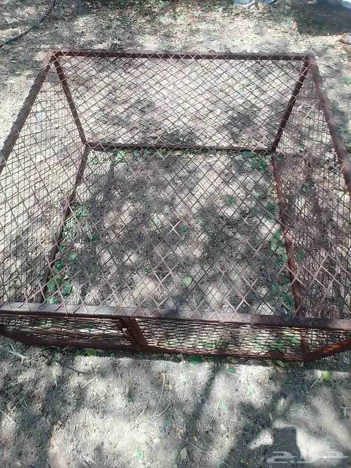 شبك شرط مفيه شي ويوجد أرنب ودجاج الي يبقا يتوصل وتساب 3