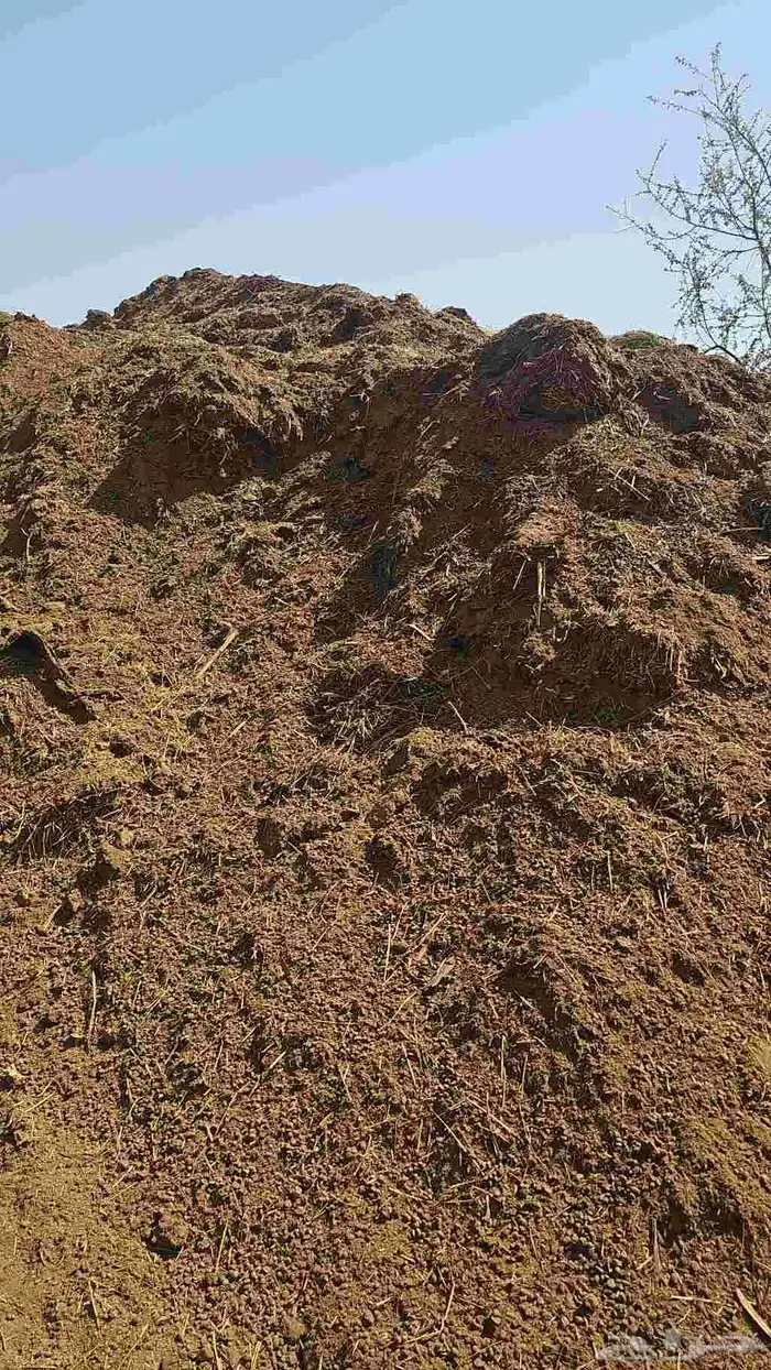 سماد غنم قديم للبيع سواء يالكيس او السكس 0