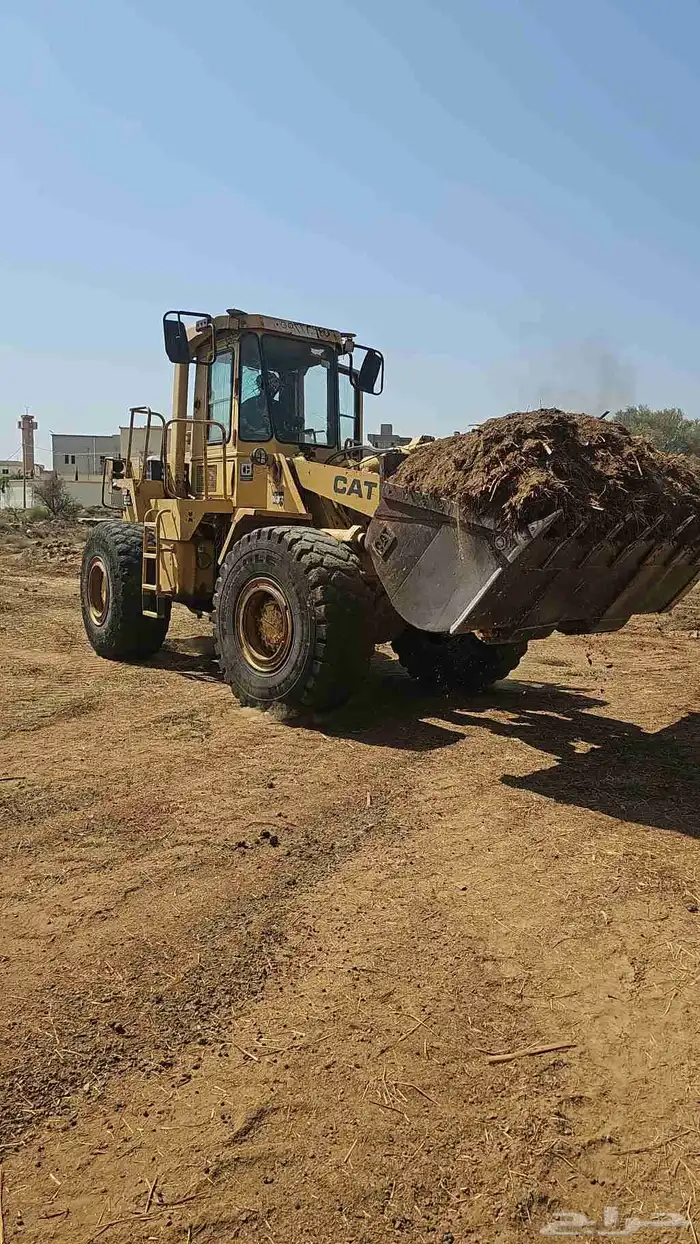 سماد غنم قديم للبيع سواء يالكيس او السكس 1