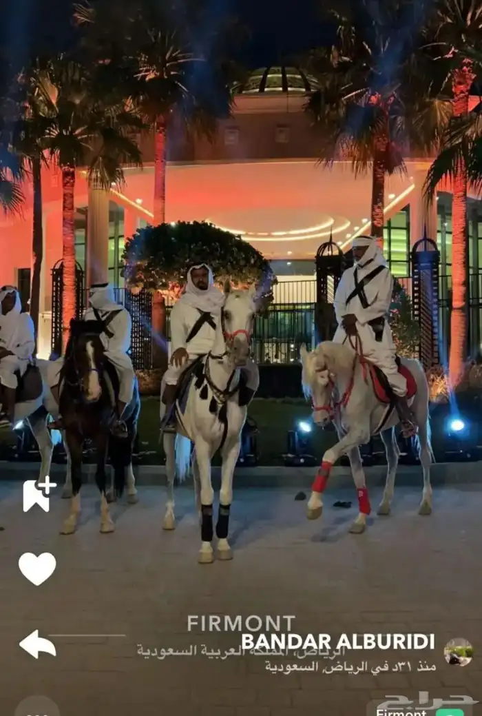 Horses and camels for rent 6