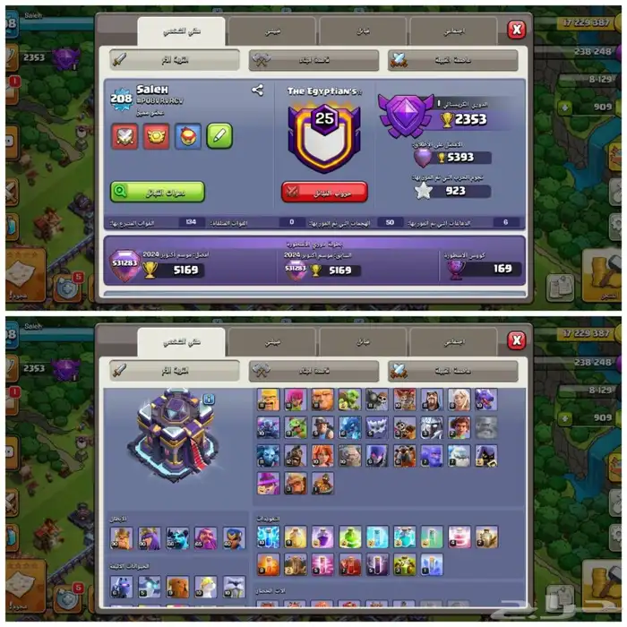 حسابين كلاش رويال وكلاش اوف كلانس مع بعض ل 2 خرافيين 6