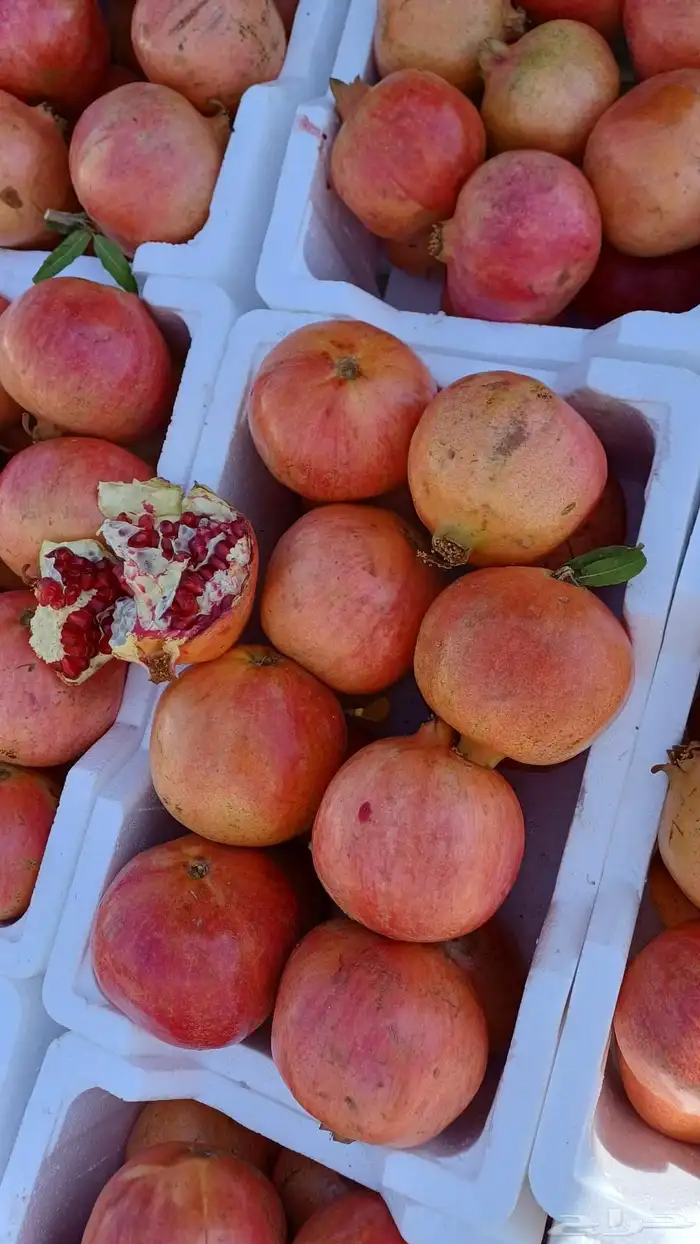 رمان متوفر كميات 0