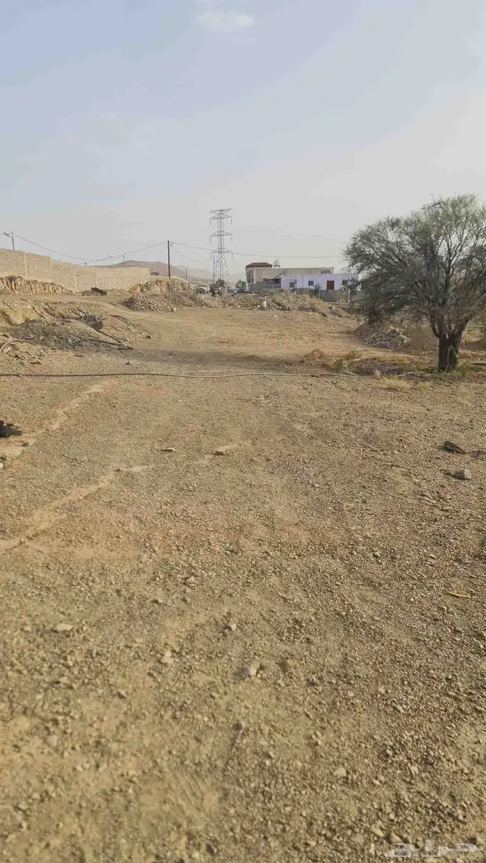 احتاج دفان لهذا الموقع 1