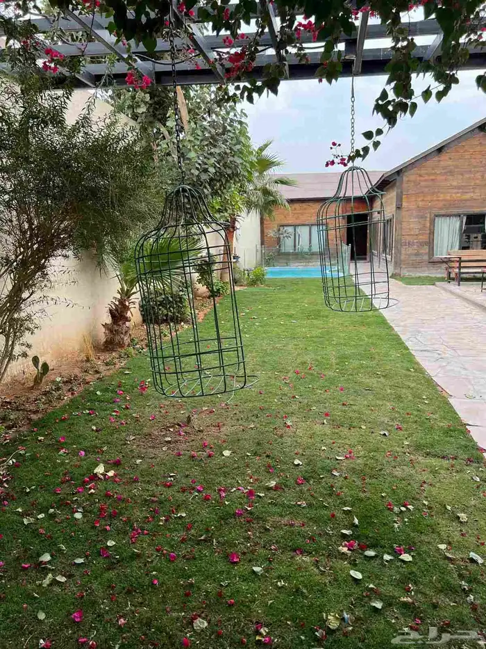 عروض شاليهات الرياض 7